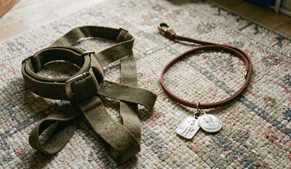 Un harnais bien ajusté et un collier simple sont posés côte à côte sur un tapis, avec une laisse et une médaille prêtes pour la sortie.